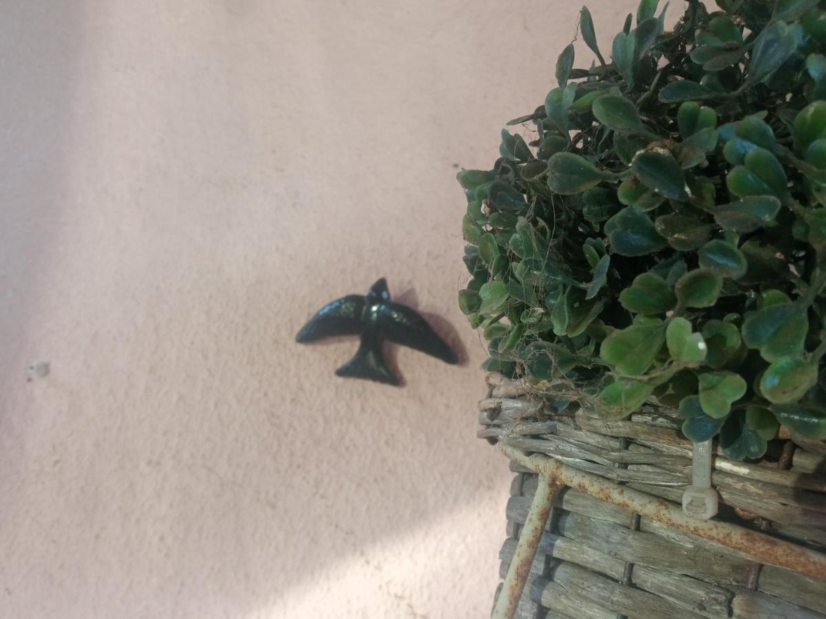 Azevinho Guest House Seia Εξωτερικό φωτογραφία