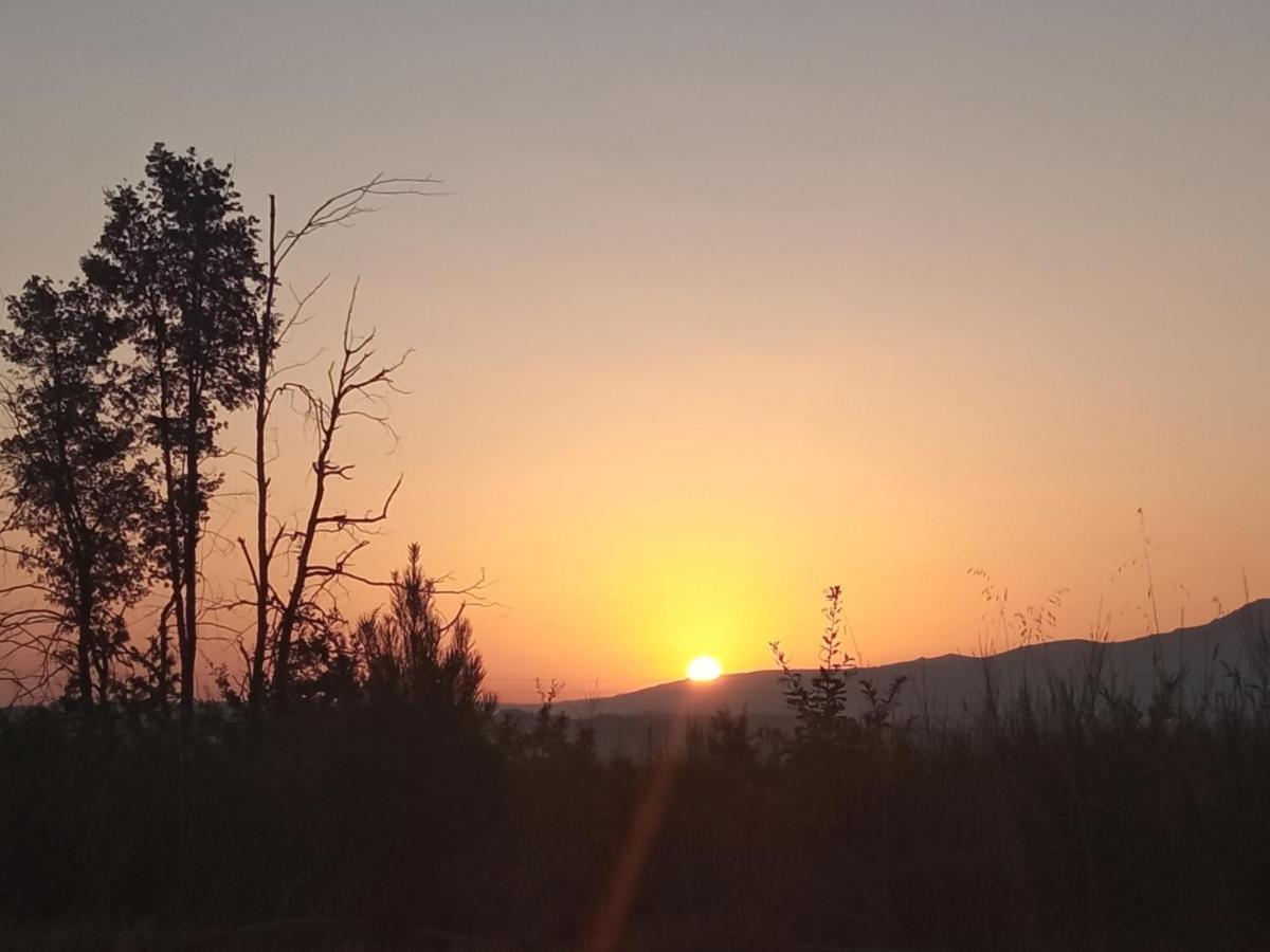 Azevinho Guest House Seia Εξωτερικό φωτογραφία
