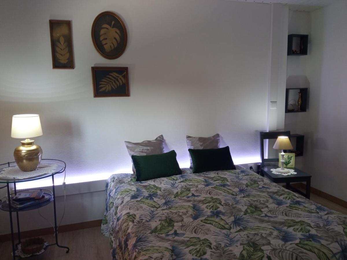 Azevinho Guest House Seia Εξωτερικό φωτογραφία